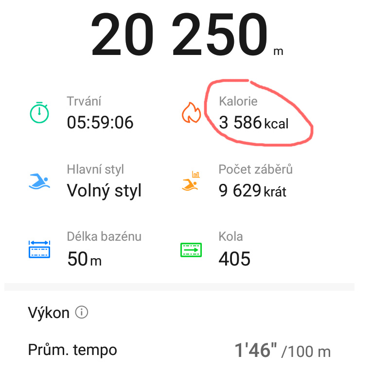 Plavání - kraul - 20km